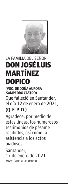 DON JOSÉ LUIS MARTÍNEZ DOPICO