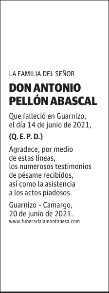 DON ANTONIO PELLÓN ABASCAL