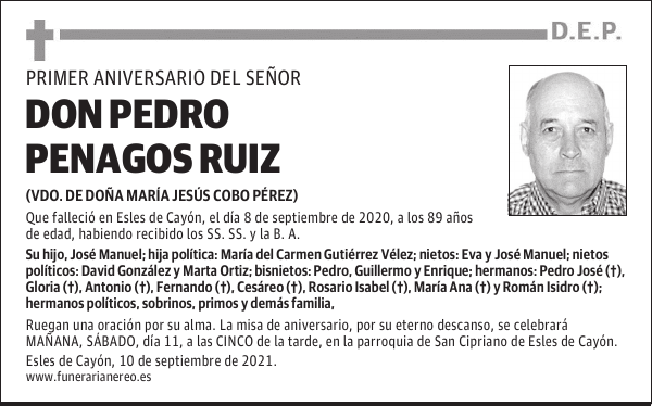 DON PEDRO PENAGOS RUIZ