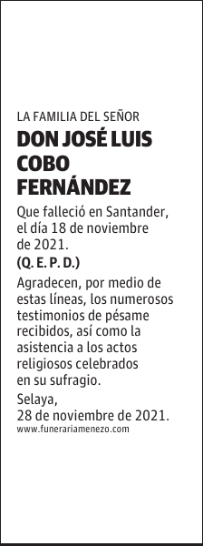 DON JOSÉ LUIS COBO FERNÁNDEZ