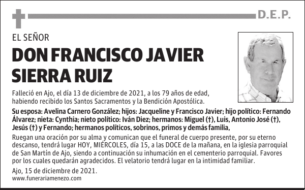 DON FRANCISCO JAVIER SIERRA RUIZ