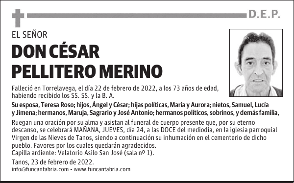 DON CÉSAR PELLITERO MERINO