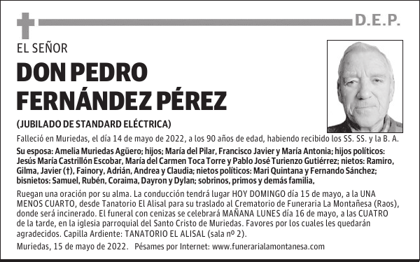 DON PEDRO FERNÁNDEZ PÉREZ