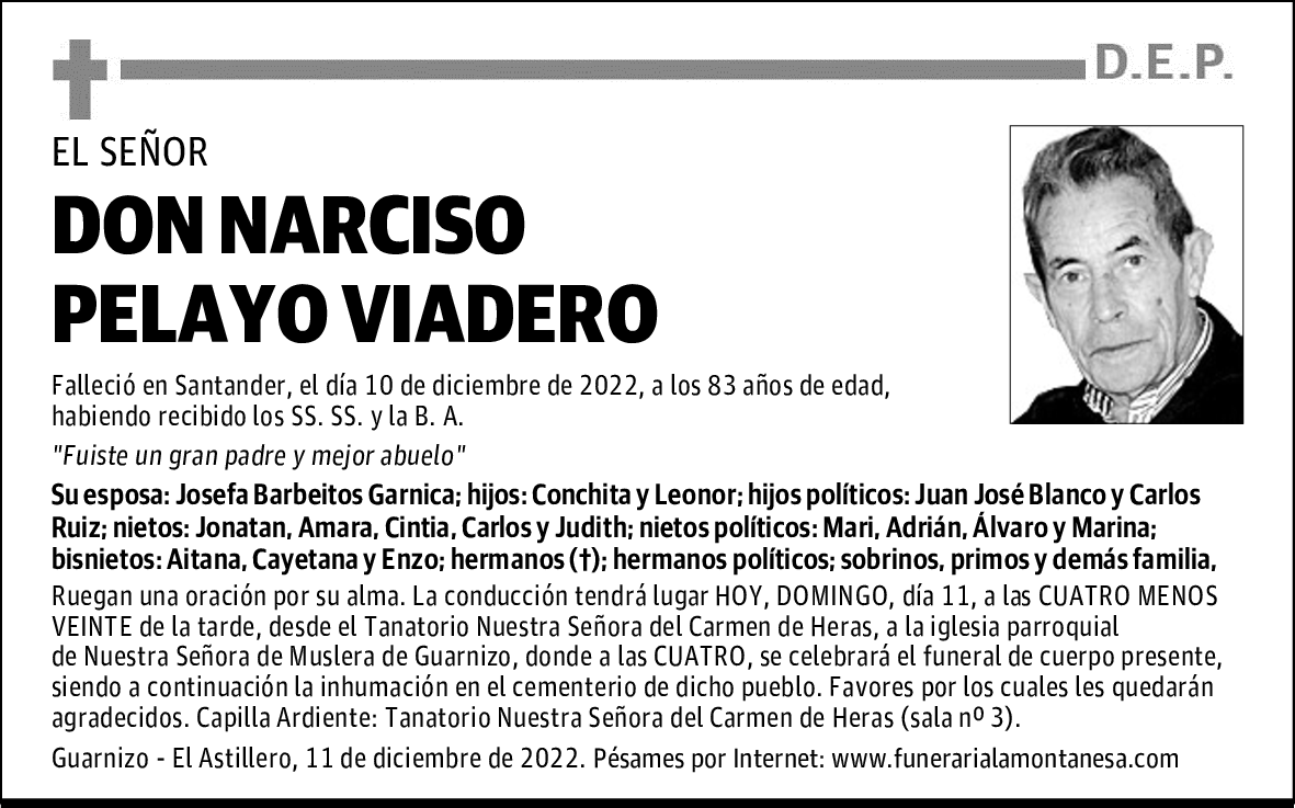 DON NARCISO PELAYO VIADERO