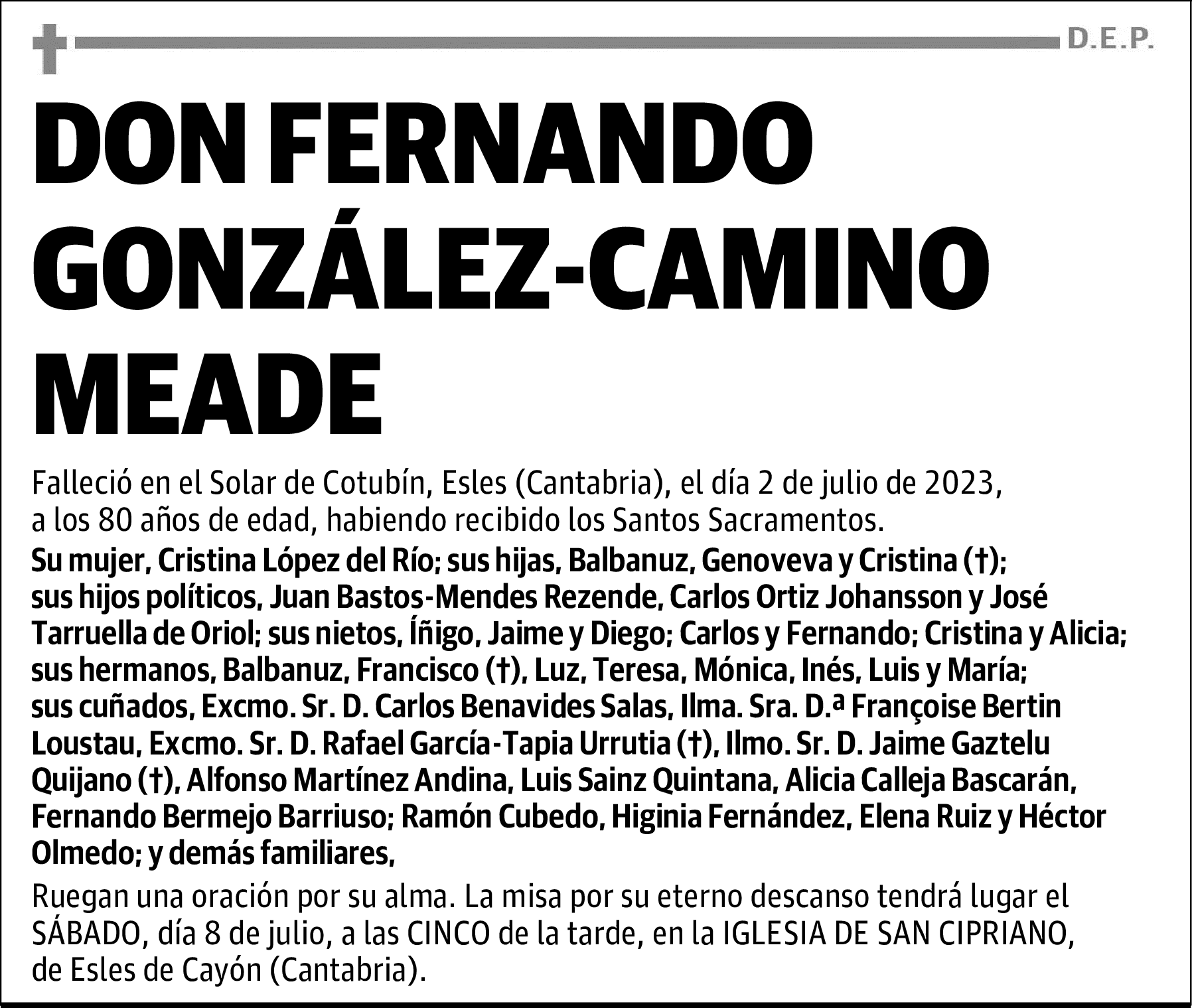 DON FERNANDO GONZÁLEZ-CAMINO MEADE