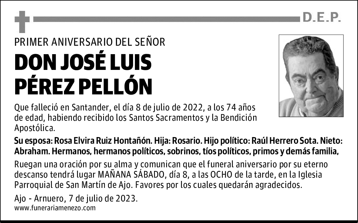 DON JOSÉ LUIS PÉREZ PELLÓN