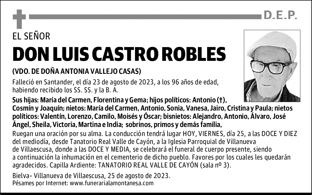 DON LUIS CASTRO ROBLES