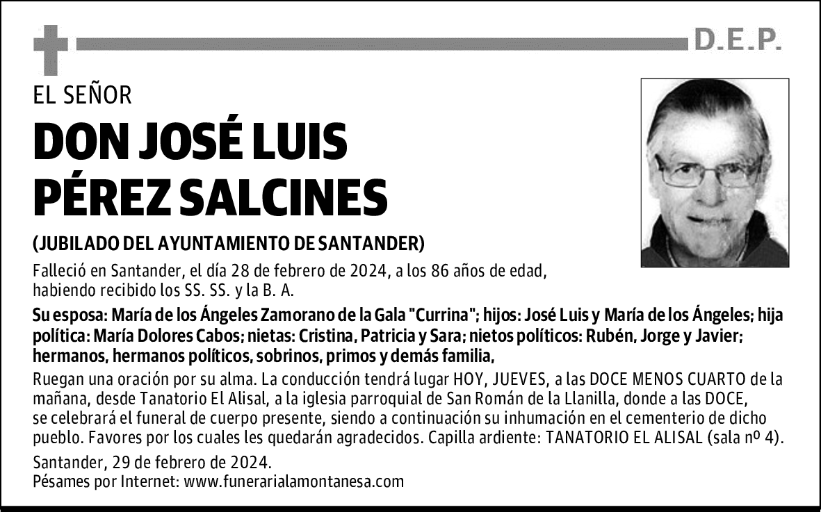 DON JOSÉ LUIS PÉREZ SALCINES