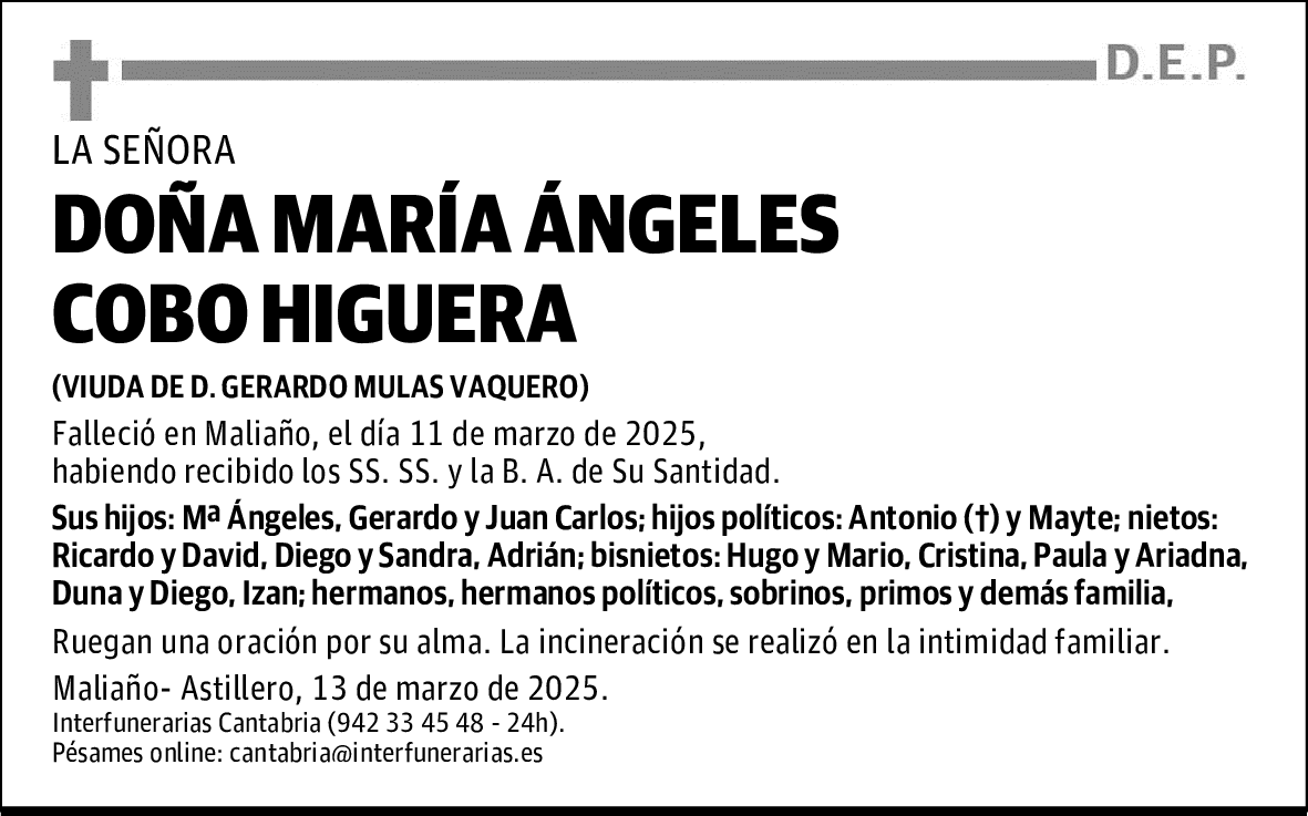 DOÑA MARÍA ÁNGELES COBO HIGUERA