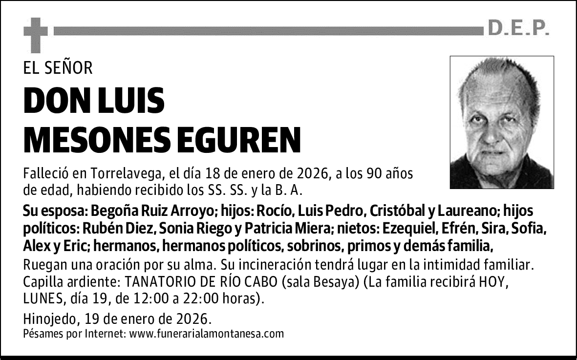DON LUIS MESONES EGUREN