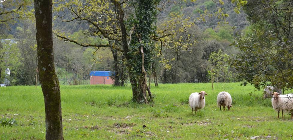 Turismo apoyará los proyectos del sendero a La Fuente del Cajigo y la vía ferrata en Secadura - Vimarsana News