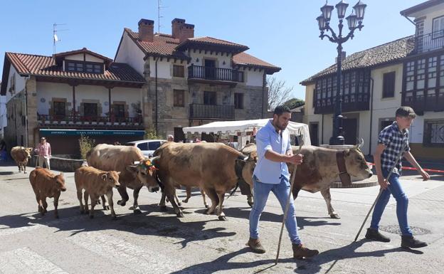 Más de un millar de reses en la XIII concentración ganadera de Bárcena de  Pie de Concha | El Diario Montañes